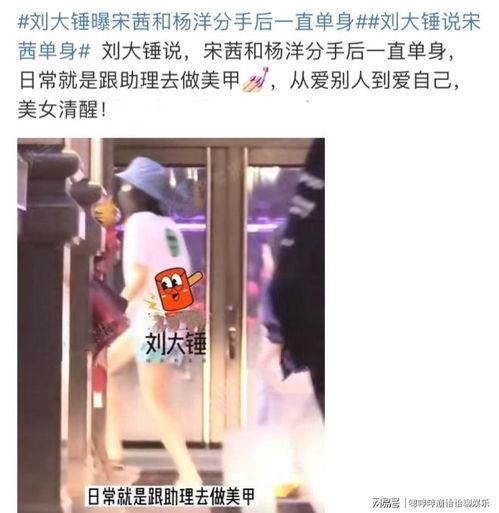 杨大锤最新爆料,娱乐圈最新重磅爆料！